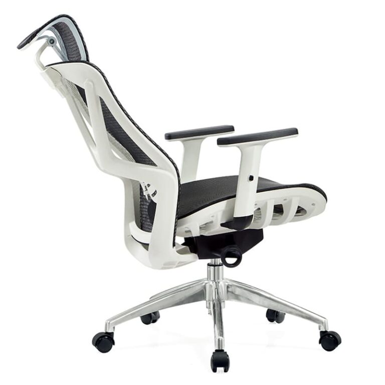 Office Chair For Back Pain person